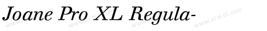 Joane Pro XL Regula字体转换